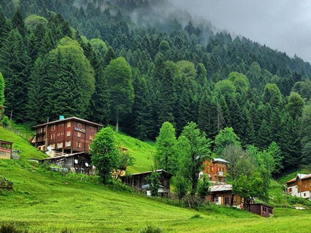 Uçaklı Batum Ayder Turu 2 Gece