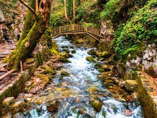 Kuzey Egenin Lezzet Durakları Ve Köyleri Turu 1 Gece