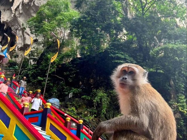 Bangkok - Pattaya Turu 7 Gece Saudi Havayolları İle